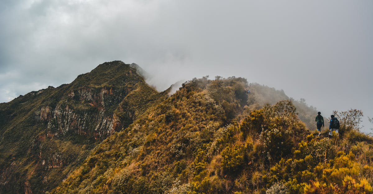 découvrez les défis écologiques auxquels notre planète est confrontée, des changements climatiques à la perte de biodiversité, et comment nous pouvons tous contribuer à un avenir durable.