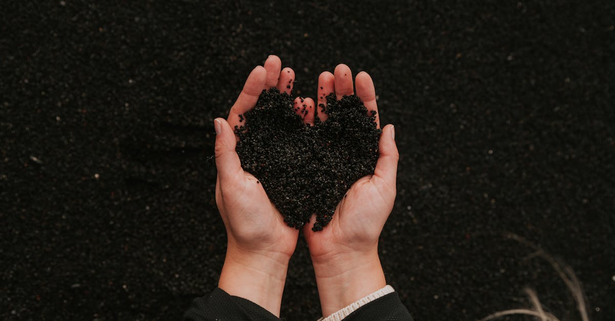découvrez l'importance de la sensibilisation environnementale et comment elle peut inspirer des actions positives pour protéger notre planète. explorez des conseils pratiques et des ressources pour contribuer à un avenir durable.