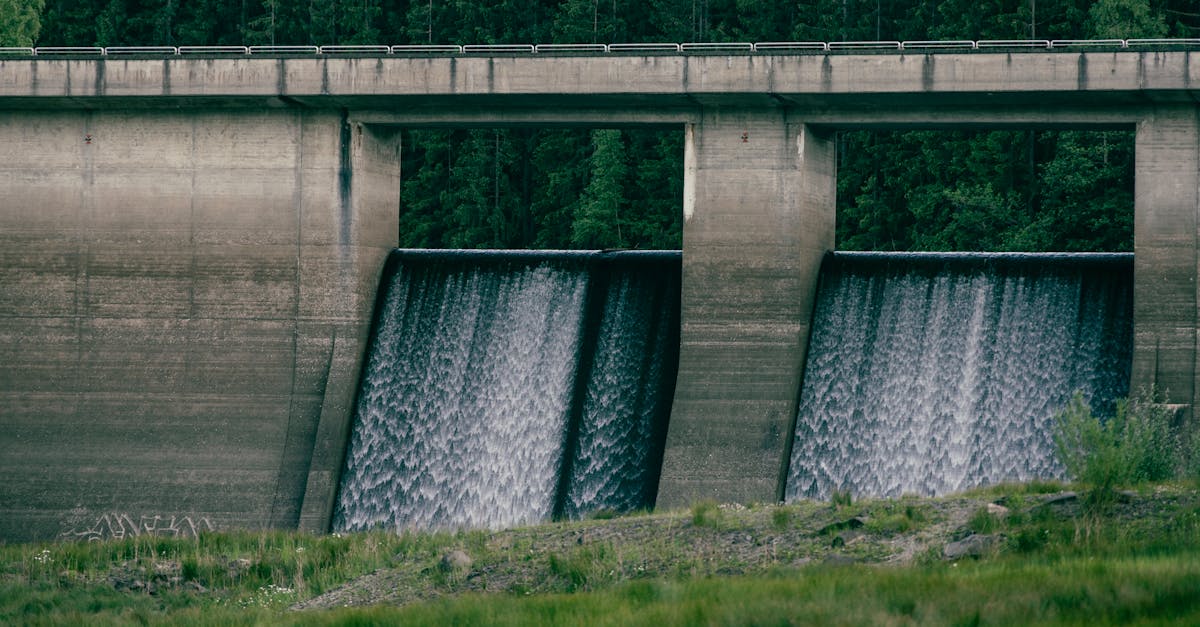 découvrez tout sur les ressources en eau, leur importance pour l'environnement et l'humanité, ainsi que les enjeux liés à leur gestion et conservation. informez-vous sur les solutions durables pour préserver cette précieuse ressource.