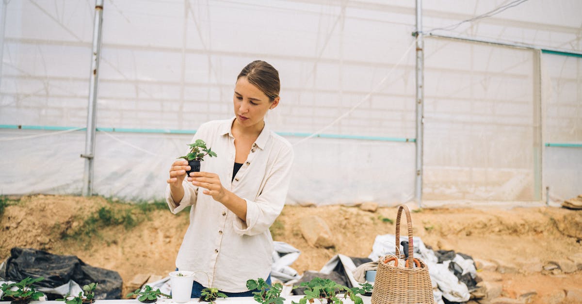 découvrez l'agroécologie, une approche durable qui allie agriculture respectueuse de l'environnement et techniques innovantes pour promouvoir la biodiversité, améliorer la fertilité des sols et assurer une sécurité alimentaire. rejoignez le mouvement vers une agriculture responsable et éthique.
