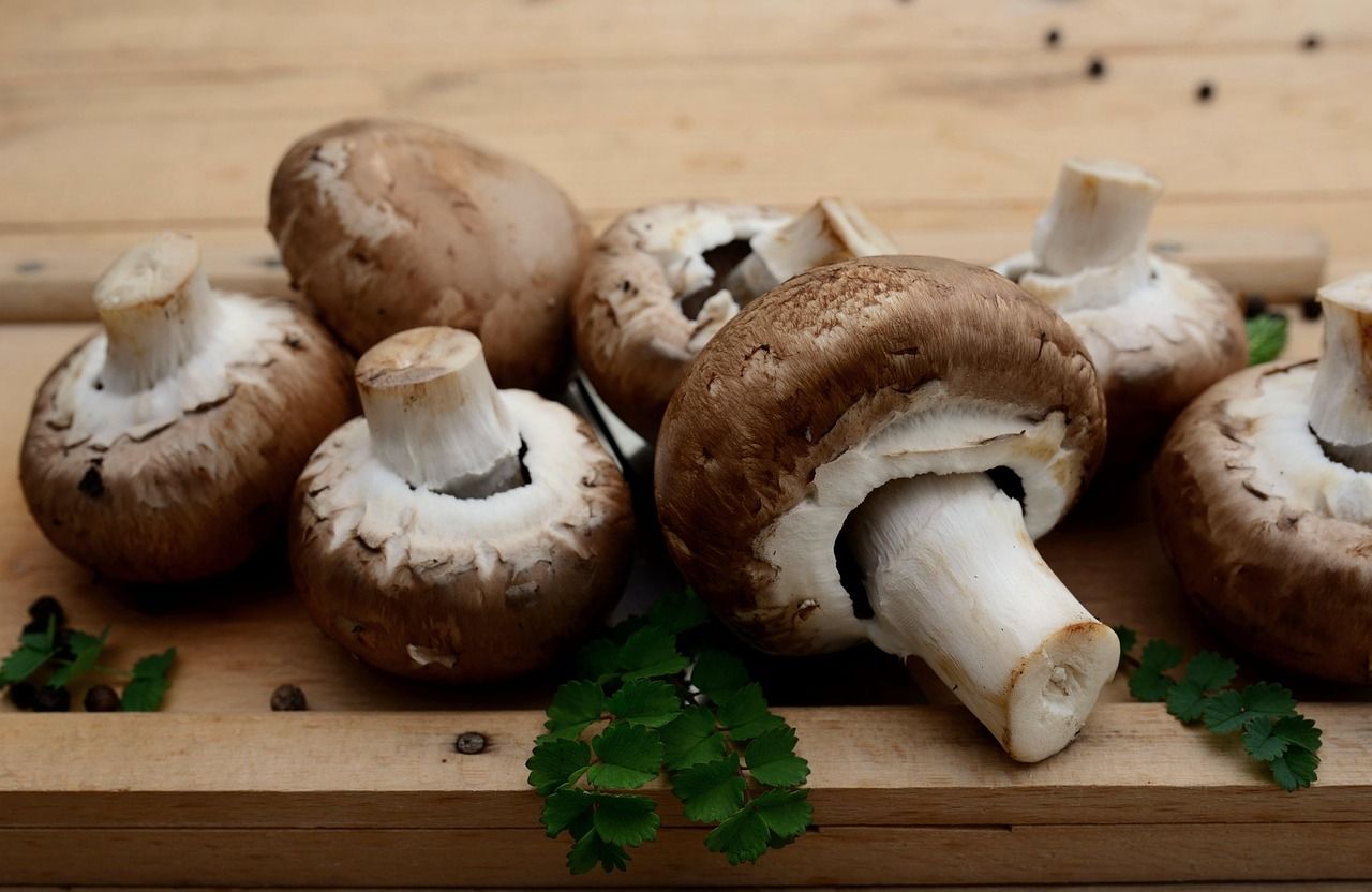découvrez une sélection d'ingrédients de cuisine de qualité pour sublimer toutes vos recettes. fraîcheur, saveurs et conseils pour réussir vos plats facilement.