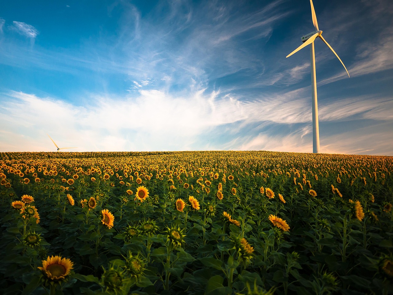 découvrez les dernières innovations et avantages des énergies renouvelables : solaire, éolienne, hydraulique et plus encore pour un avenir durable et respectueux de l’environnement.
