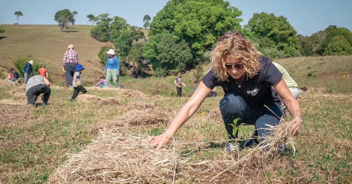 découvrez l'importance de la reforestation pour la planète et l'avenir de nos écosystèmes. apprenez comment cette pratique essentielle contribue à la lutte contre le changement climatique, préserve la biodiversité et soutient des communautés durables. engagez-vous dans des projets de reforestation et faites la différence dès aujourd'hui!