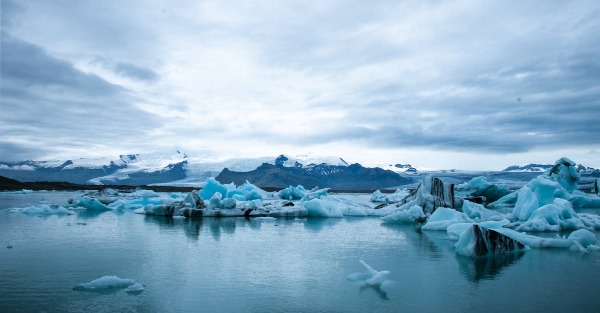 découvrez les enjeux du changement climatique, ses impacts sur notre planète et les actions nécessaires pour un avenir durable. informez-vous sur les solutions pour lutter contre ce phénomène mondial.