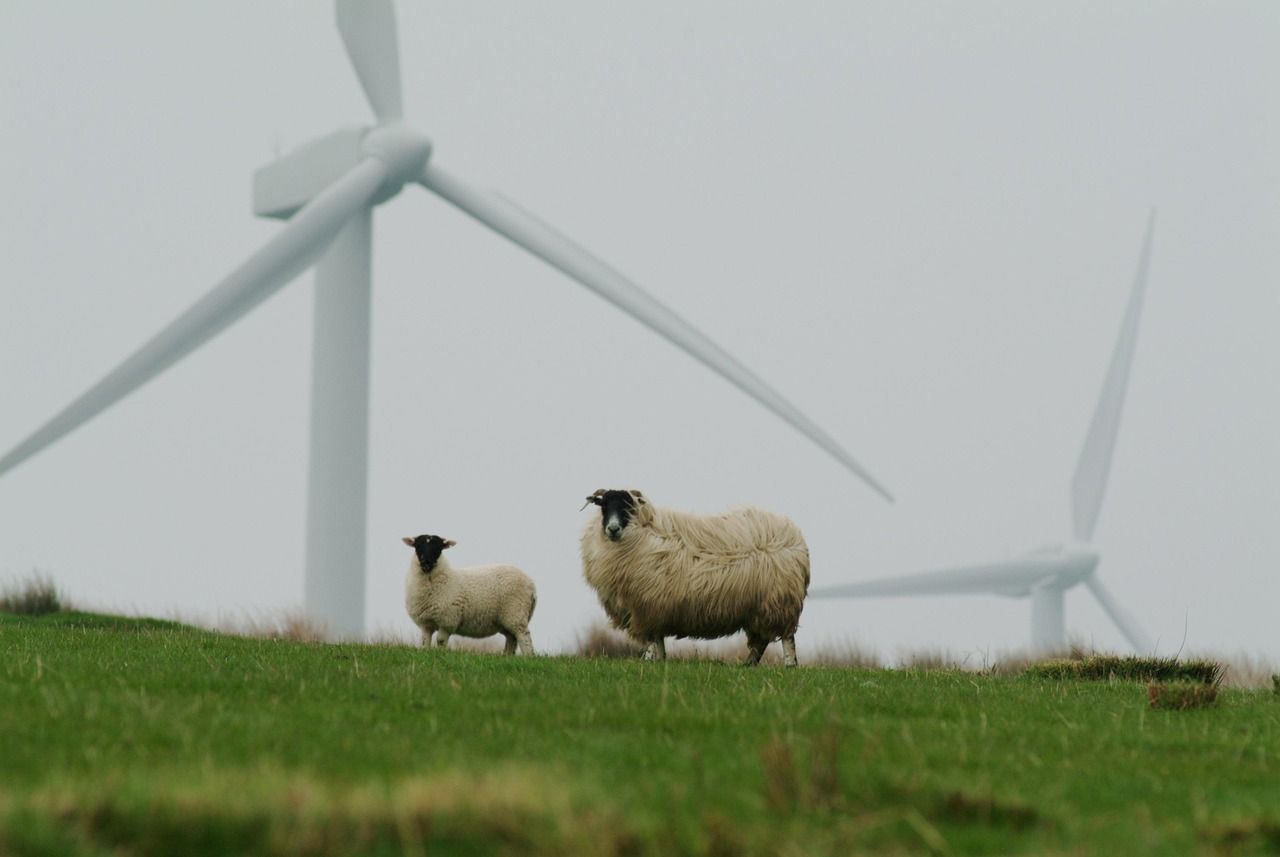 découvrez les principes et les enjeux de la durabilité, ses impacts sur l'environnement et la société, ainsi que des conseils pratiques pour adopter un mode de vie et des pratiques plus durables au quotidien.
