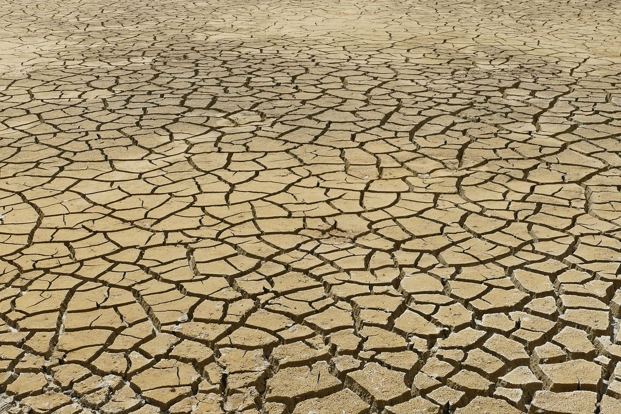 découvrez comment le changement climatique impacte notre planète, ses causes, ses conséquences et les solutions pour lutter contre ce phénomène mondial.