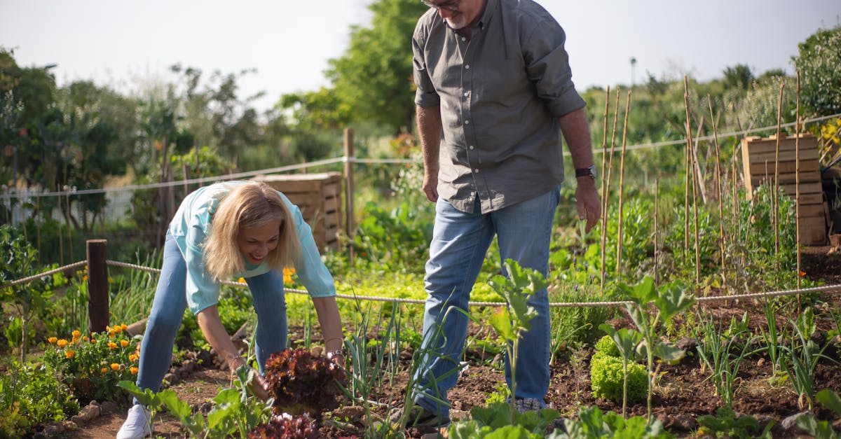 découvrez des conseils pratiques et des astuces inspirantes pour adopter un mode de vie durable. apprenez à réduire votre empreinte écologique, à consommer de manière responsable et à vivre en harmonie avec la nature. transformez votre quotidien en un voyage vers une vie plus verte et plus consciente.