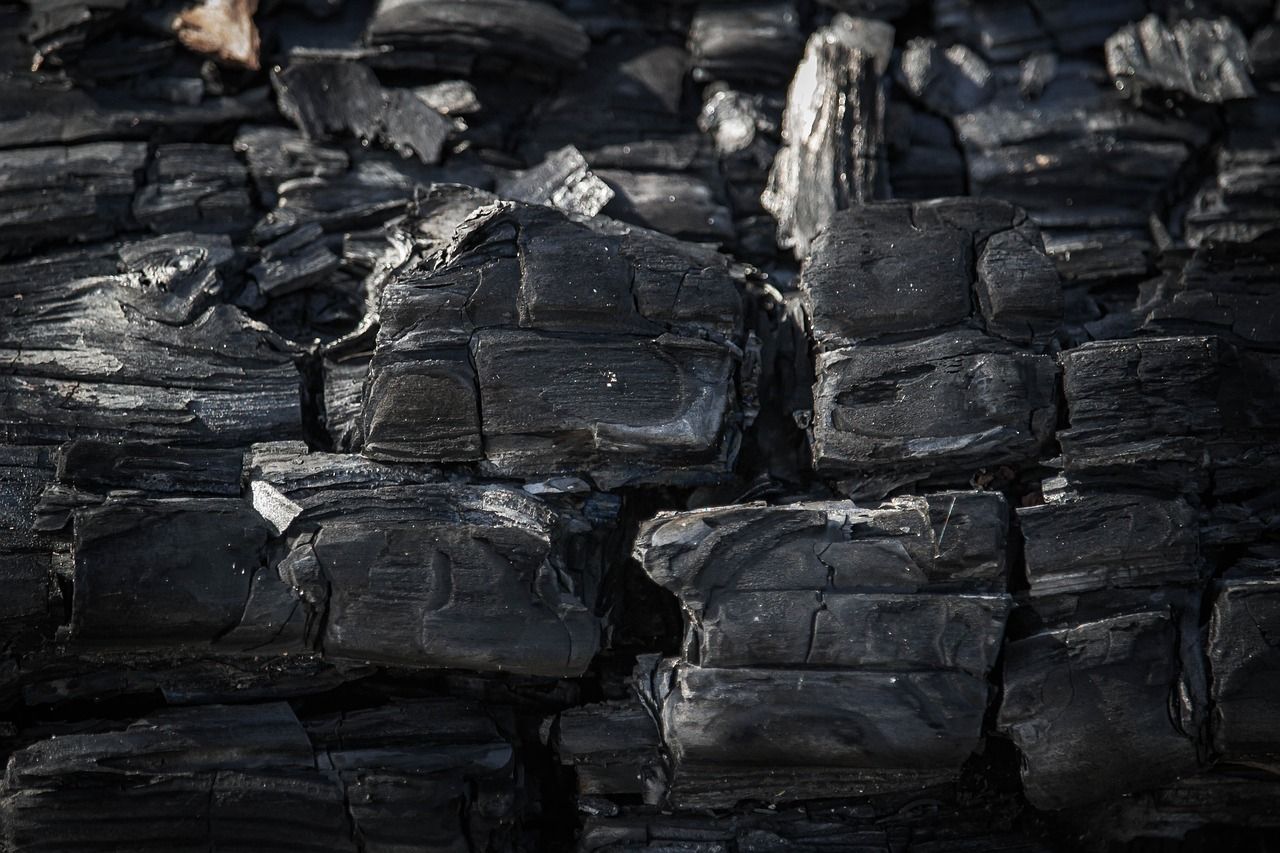 découvrez l'empreinte carbone, un indicateur clé de l'impact environnemental de nos activités. apprenez comment réduire votre empreinte écologique et contribuer à un avenir durable.
