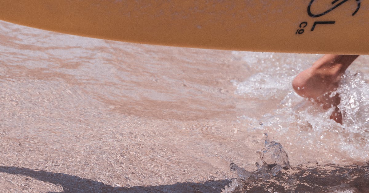 Empreinte hydrique : Comprendre son impact sur notre environnement