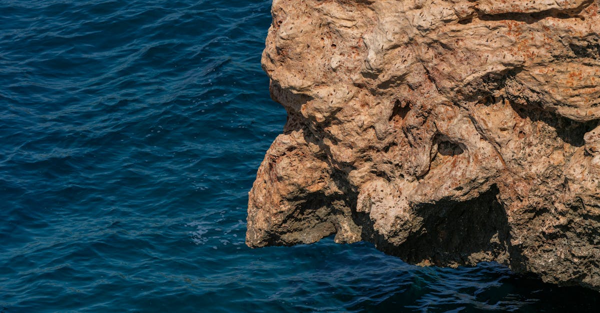 Érosion des côtes : comprendre les causes et les conséquences environnementales