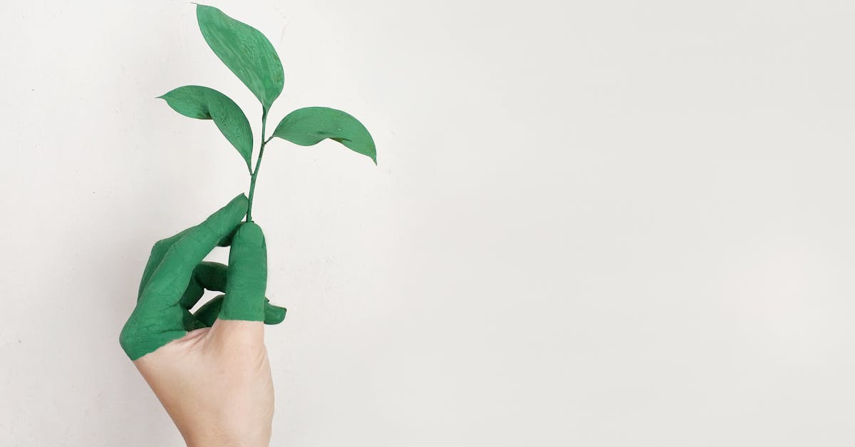 Changement de politique environnementale : Vers une nouvelle ère de durabilité