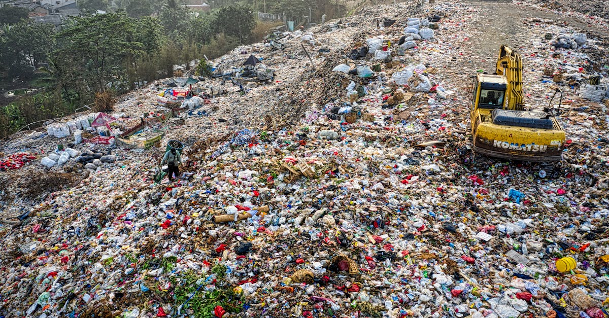 Déchets plastiques : comprendre l’impact sur l’environnement et les solutions à adopter