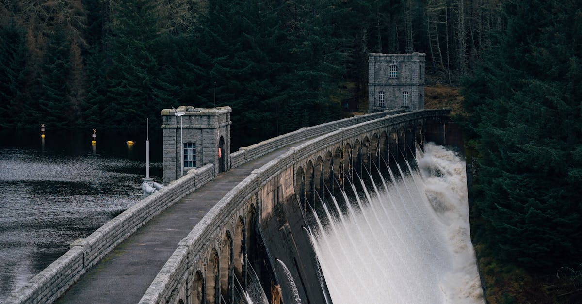 Écologie de l’énergie : comprendre les enjeux et les solutions durables