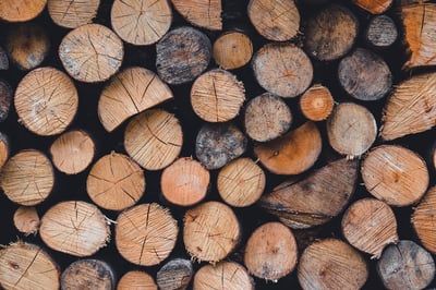 Brésil : un plan climatique audacieux place la lutte contre la déforestation au premier rang