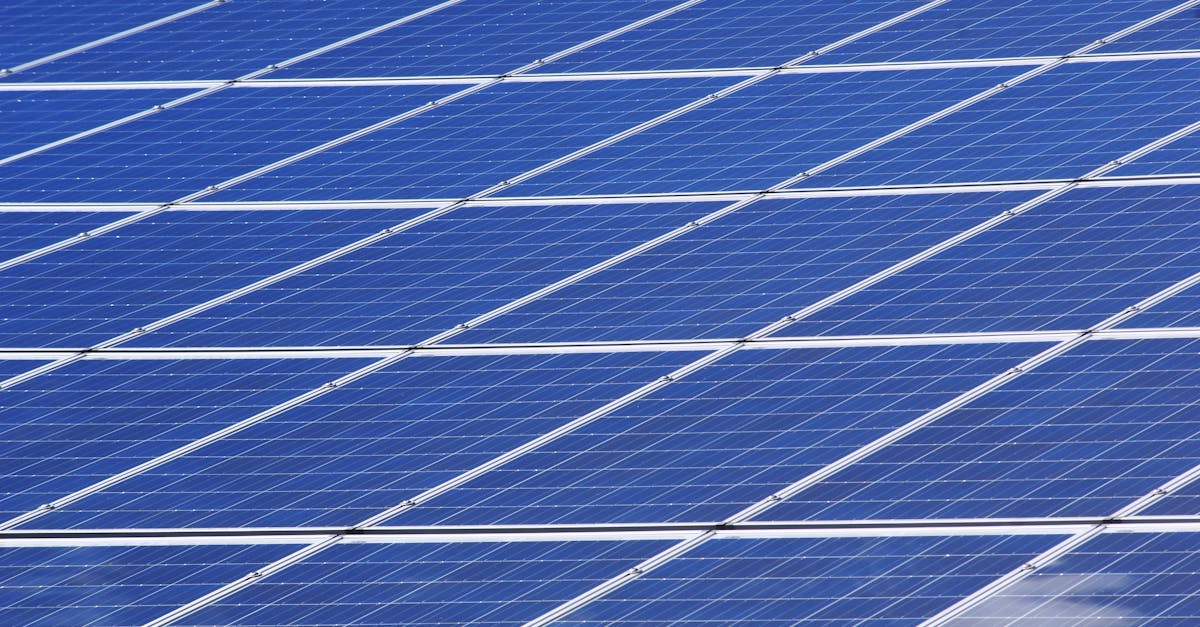 Ressources renouvelables : Un avenir durable pour notre planète