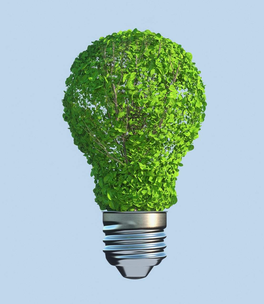 Écologie et durabilité : préserver notre planète pour les générations futures