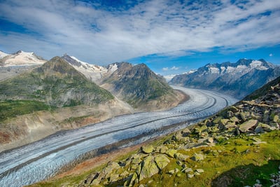 Arbre et Paysage 32 : une dynamique forte malgré des incertitudes financières