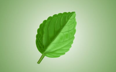 À Entraygues-sur-Truyère, un garagiste engagé met la planète au cœur de son métier