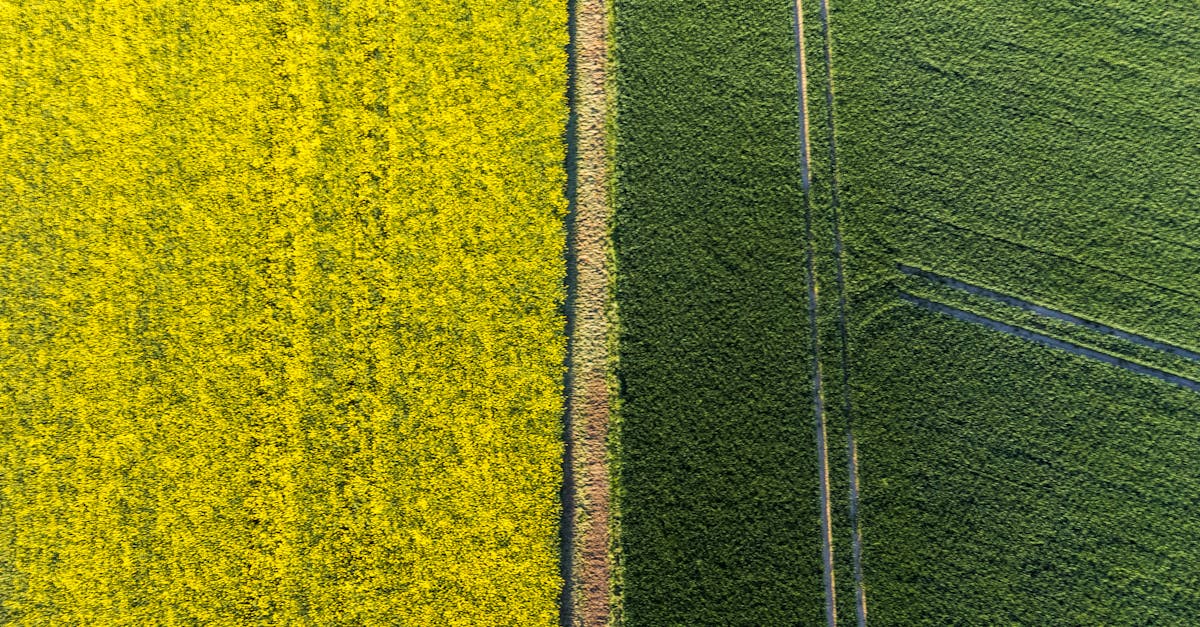 Concertations environnementales : enjeux et perspectives pour l’avenir