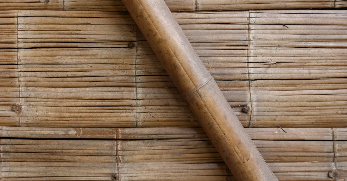 Bâtiment écologique : les avantages et enjeux d’une construction durable