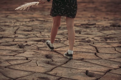 L’impact du changement climatique sur l’agriculture et son influence sur le bilan carbone