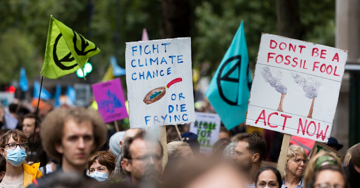 Association écologiste : comment s’engager pour la planète