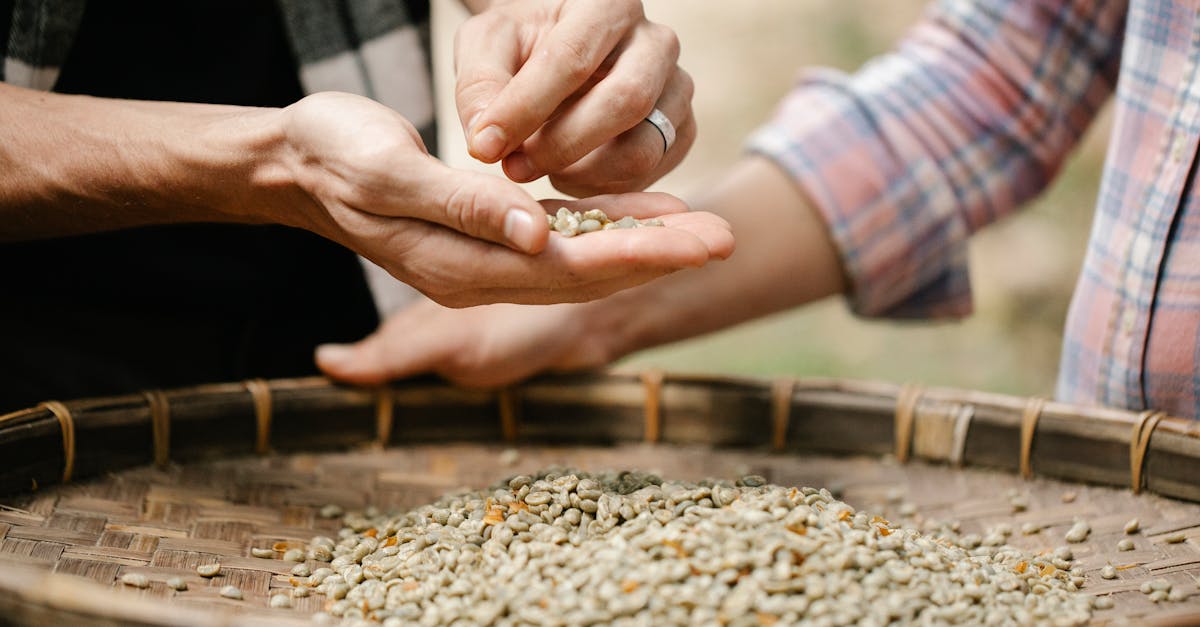 Partenariats pour l’environnement : vers un avenir durable grâce à la collaboration