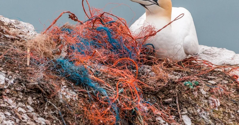 Fondre du plastique pour moulage : la méthode qui ne sent pas le pétrole