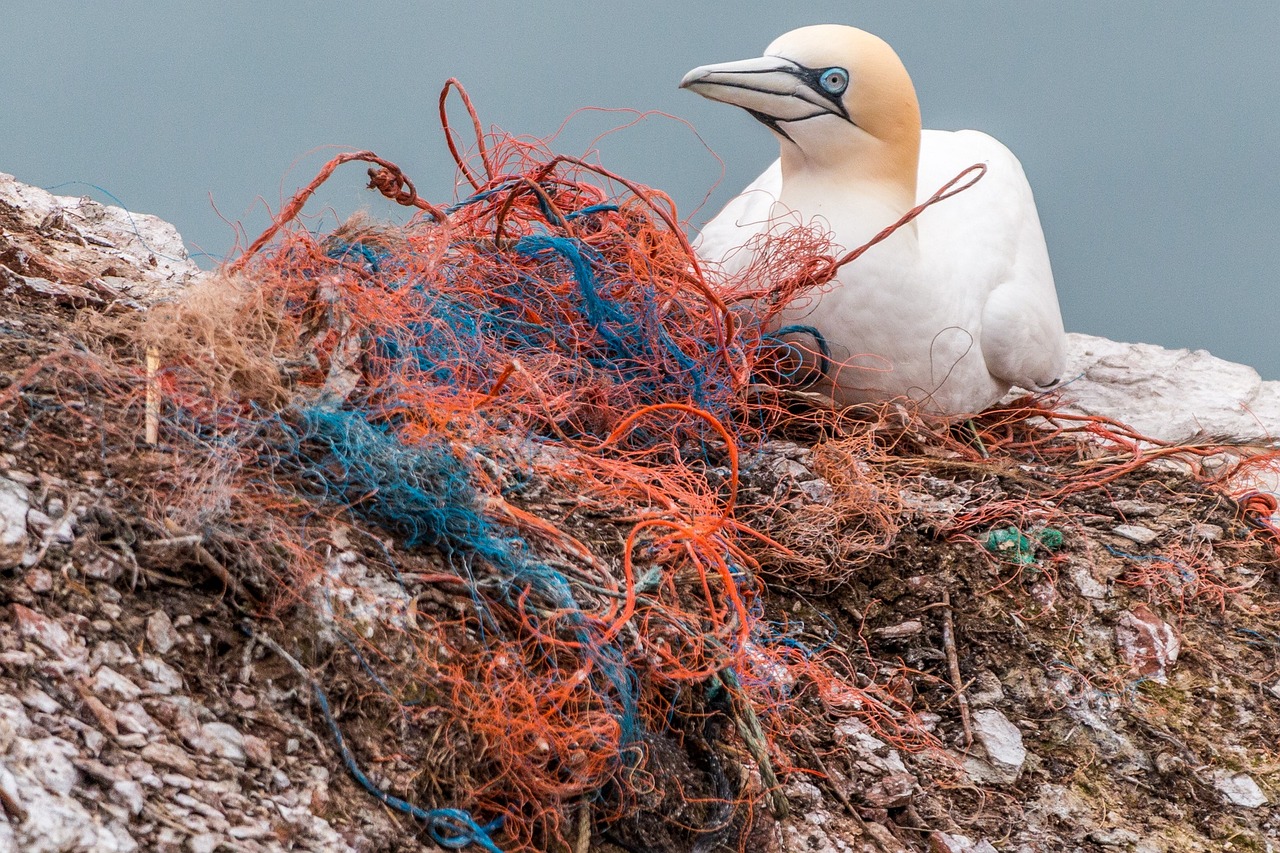 Les déchets plastiques et leur impact sur le bilan carbone
