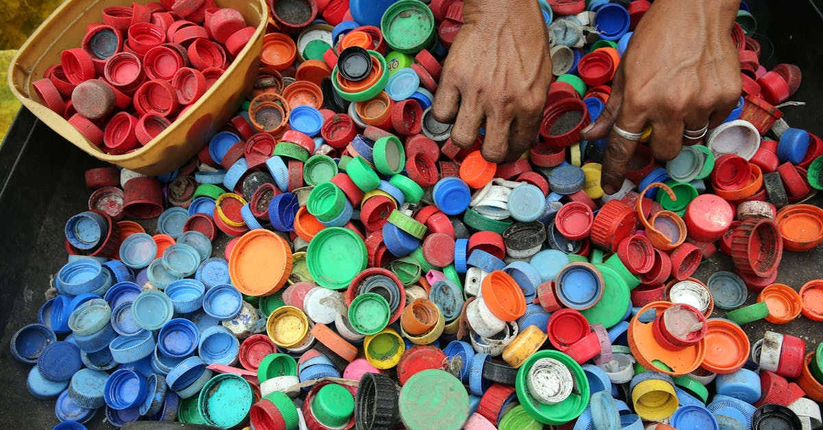 Circularité : Comprendre l’importance d’une économie durable