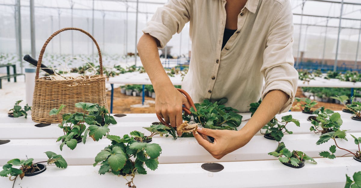 Formation à l’écologie : Comprendre les enjeux environnementaux pour un avenir durable
