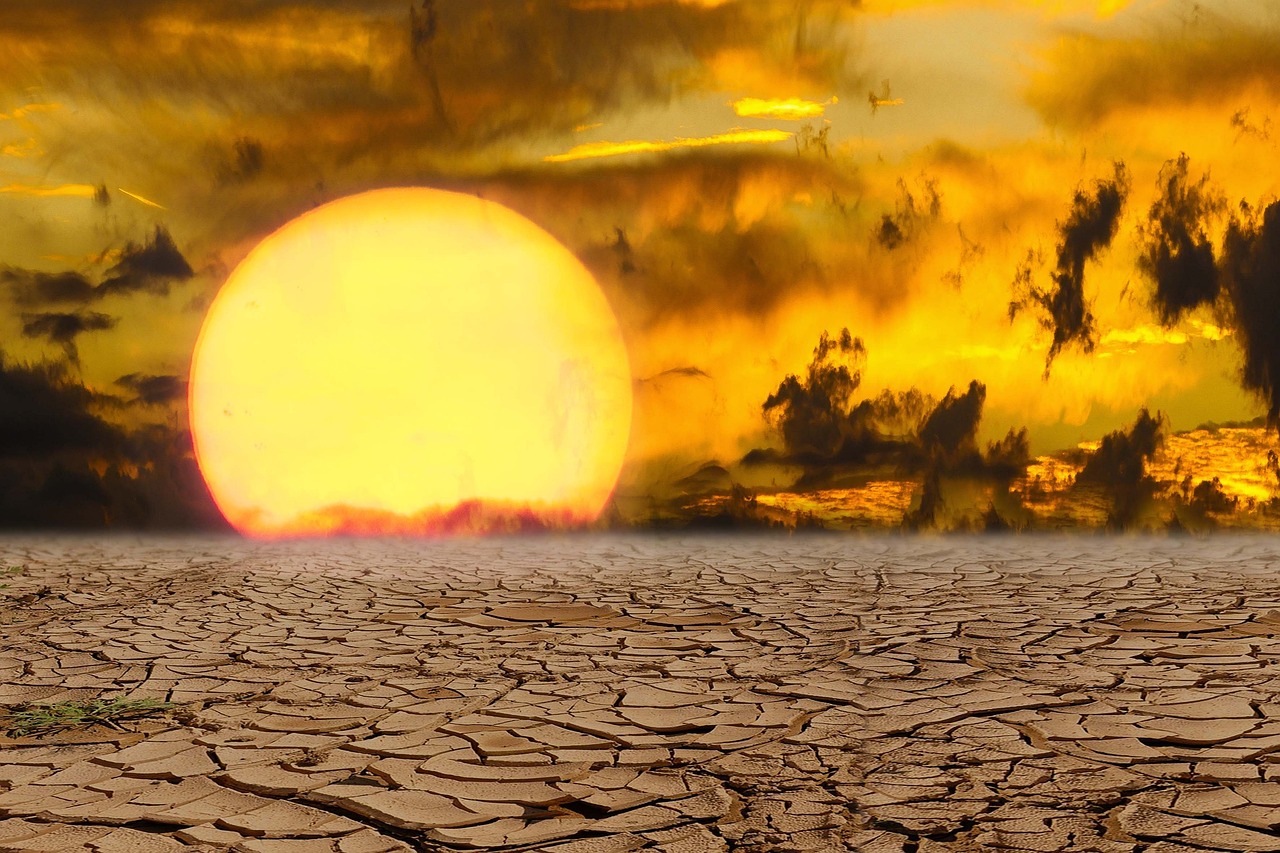 Canicule en France : des années de préparation suffiront-elles à affronter la chaleur extrême ?