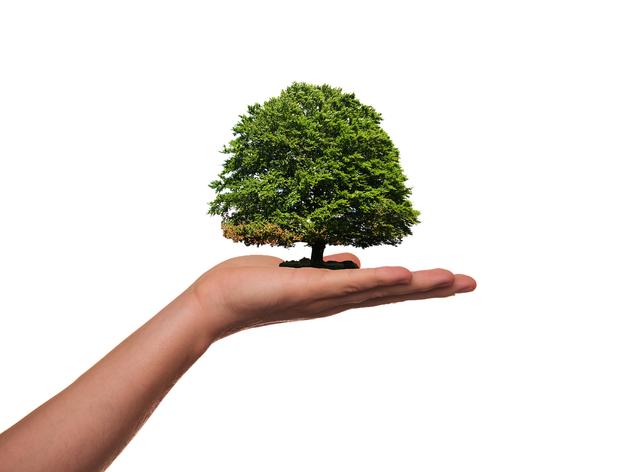 Le cinéma comme outil de sensibilisation écologique
