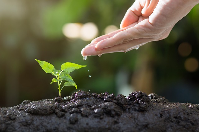 Écologie et économie : comment concilier croissance et durabilité ?