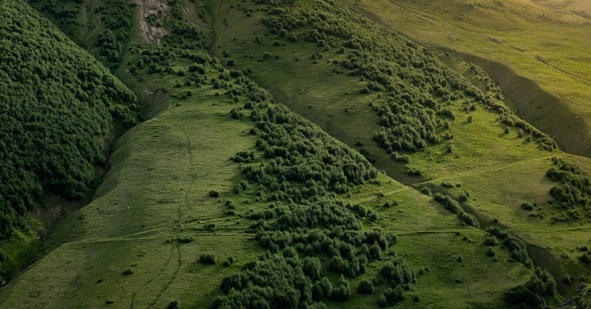 Territoires durables : vers un avenir respectueux de l’environnement