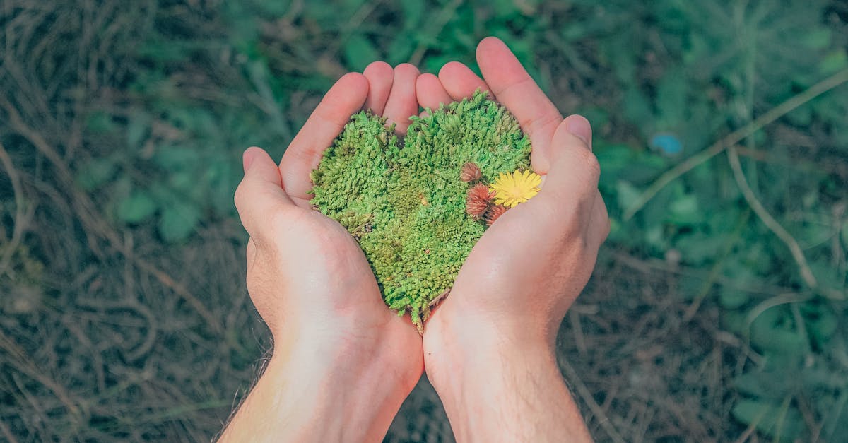 Environnement : Comprendre l’impact de nos gestes quotidiens sur la planète