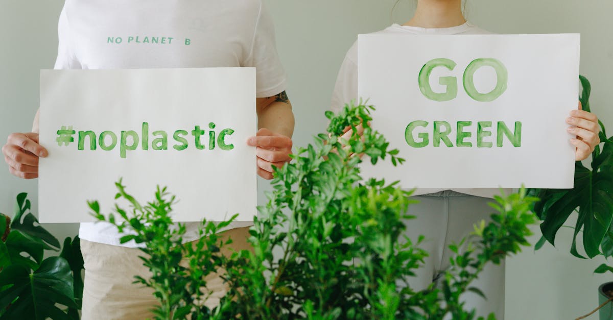 Engagement écologiste : comment agir pour un avenir durable