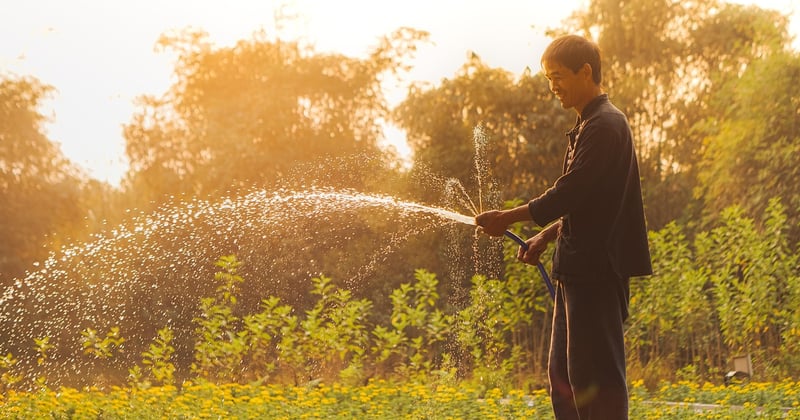 Comment recycler ses eaux grises à la maison pour l'écologie