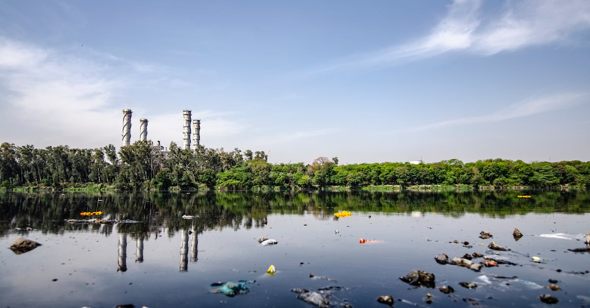Valorisation des déchets : enjeux et solutions pour un avenir durable