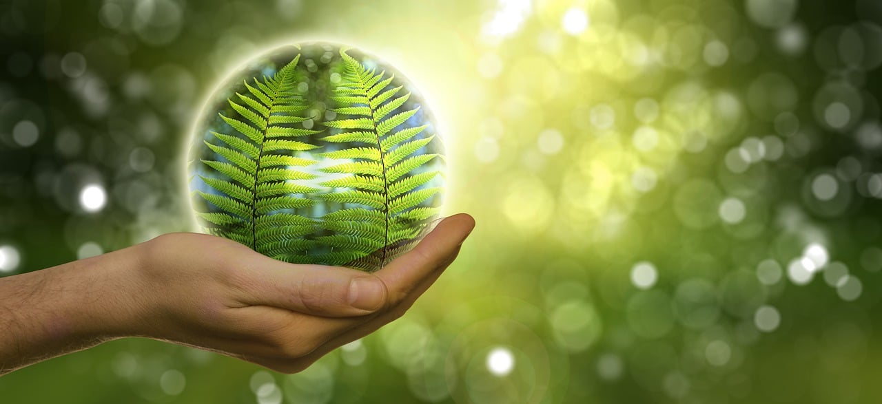 Les KPIs environnementaux : des outils incontournables pour accompagner la transition écologique d’une entreprise engagée