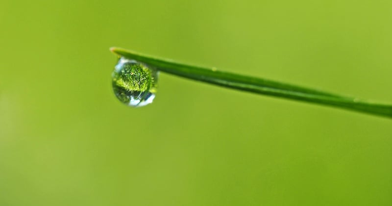 Ces politiques environnementales locales qui changent la donne pour vous