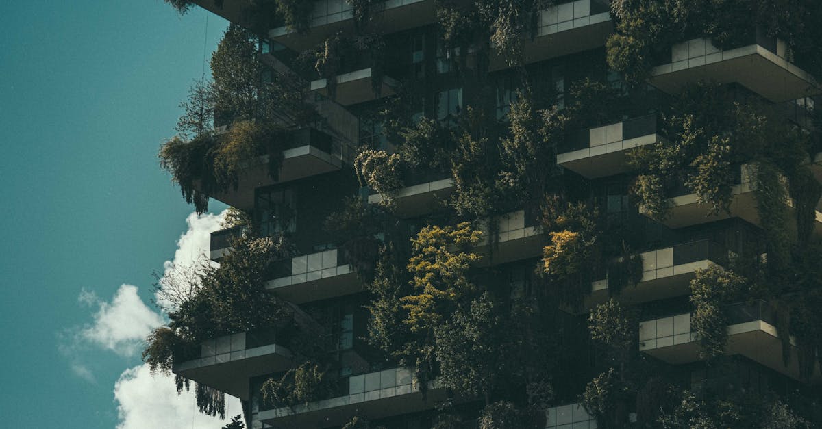 Développement urbain durable : enjeux et solutions pour les villes de demain