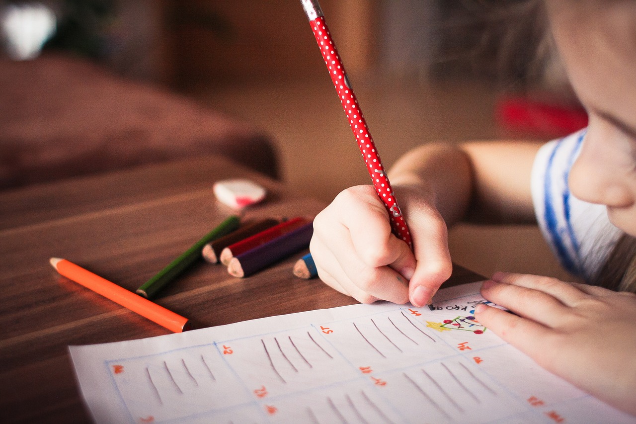 Comment l’éducation peut influencer le bilan carbone des jeunes