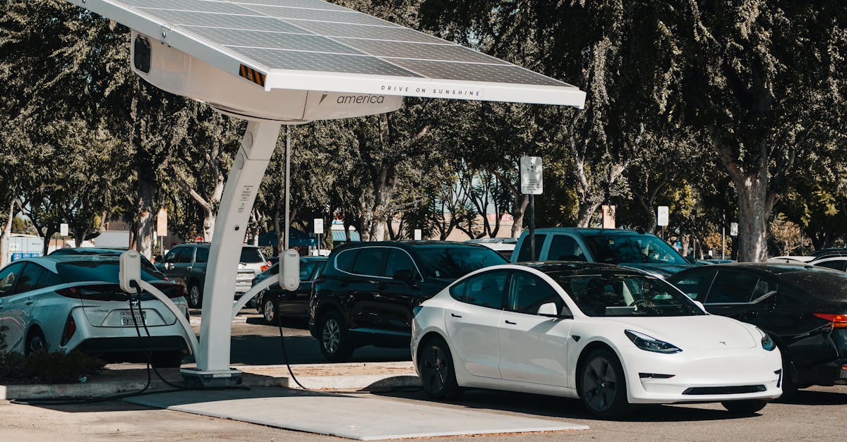 Innovation durable : vers un avenir éco-responsable
