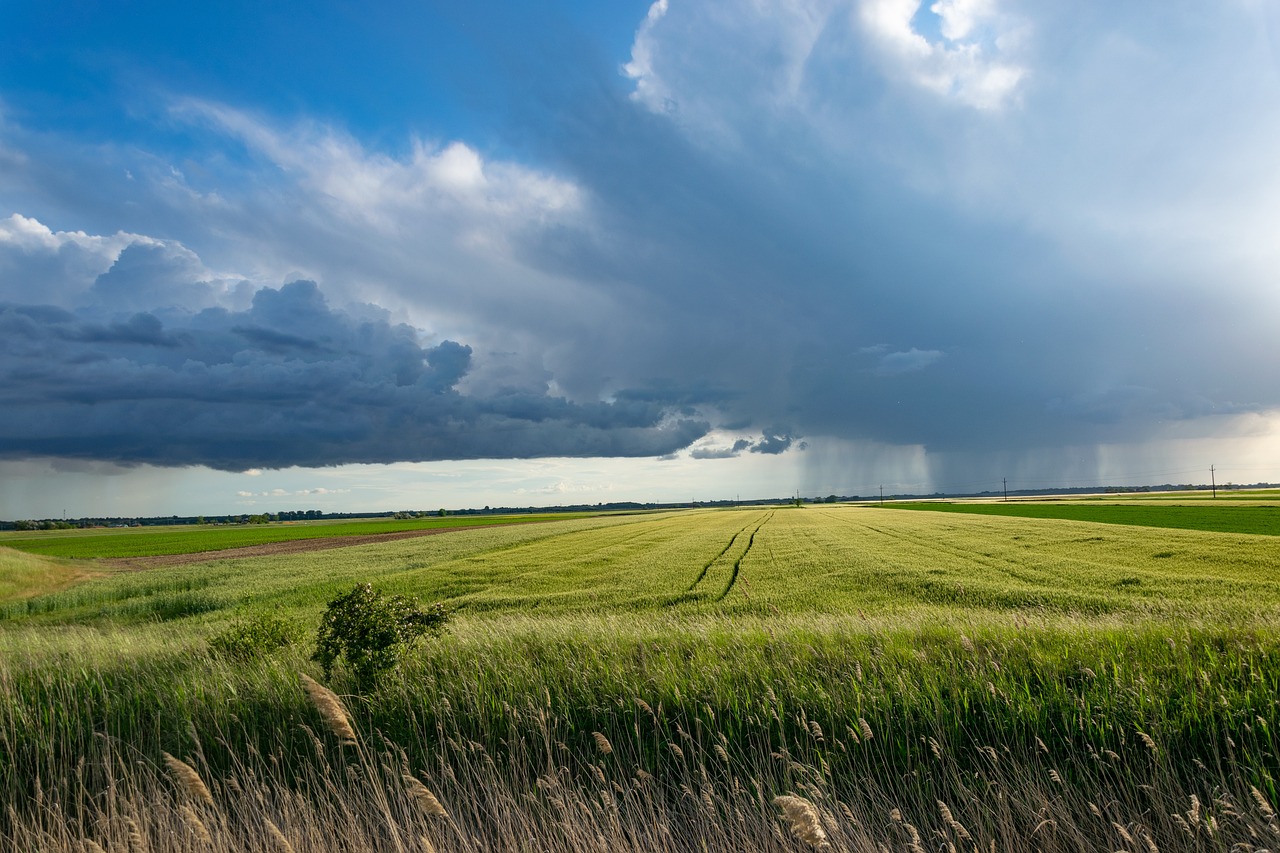 Comment l’agriculture durable peut-elle influencer le bilan carbone ?