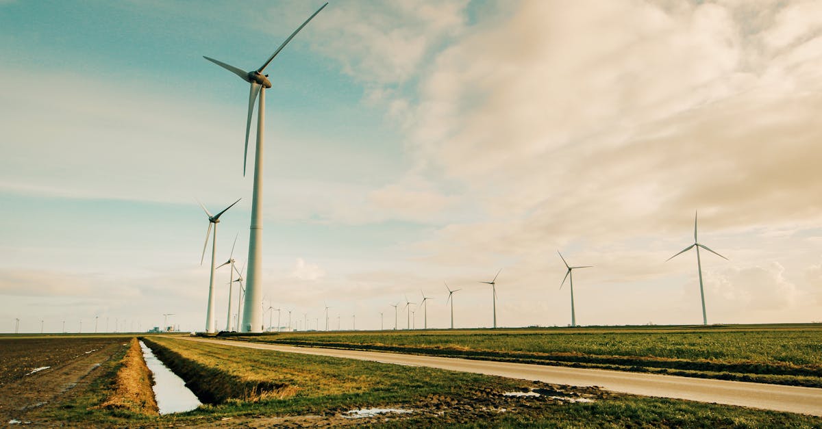 Éolien : comprendre les enjeux de l’énergie renouvelable en France