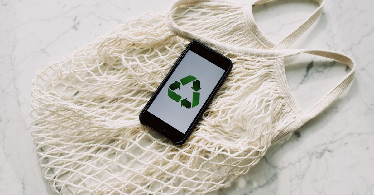 Économie circulaire : comprendre les enjeux et les opportunités d’un modèle durable