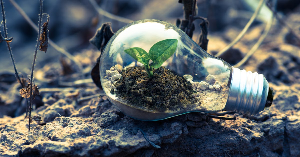 Protection de la nature : enjeux et solutions pour un avenir durable