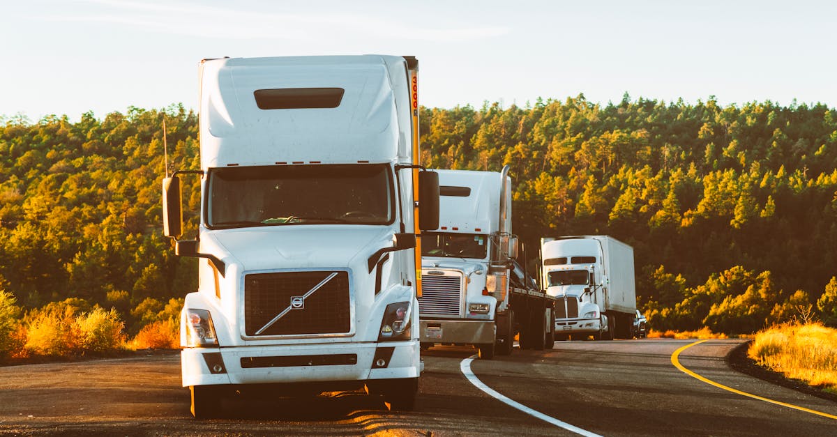 Transport : l’impact environnemental et social sur nos sociétés