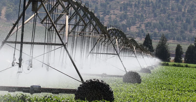Victime ou coupable ? Comprendre la double position de l'agriculture française